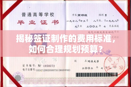 凉城揭秘签证制作的费用标准，如何合理规划预算？
