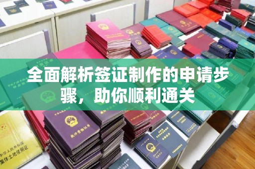 凉城全面解析签证制作的申请步骤，助你顺利通关