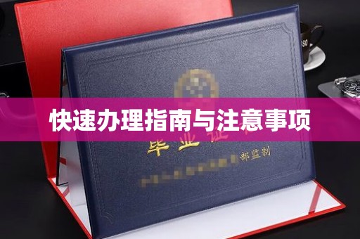 凉城快速办理指南与注意事项